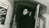 The Third Man
